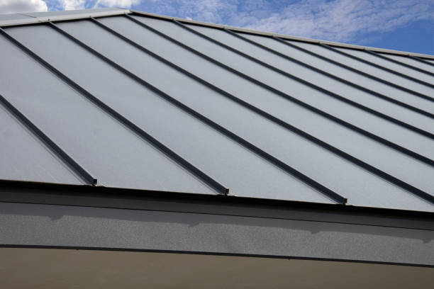 Best Metal Roofing Installation  in Wolverine Lake, MI